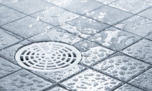 Shower Drain Leaking Into Basement: Causes and How To Fix